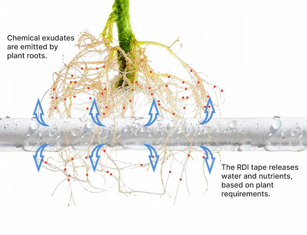 How RDI Works Diagram showing how RDI irrigation tape releases water and nutrients based on plant requirements.